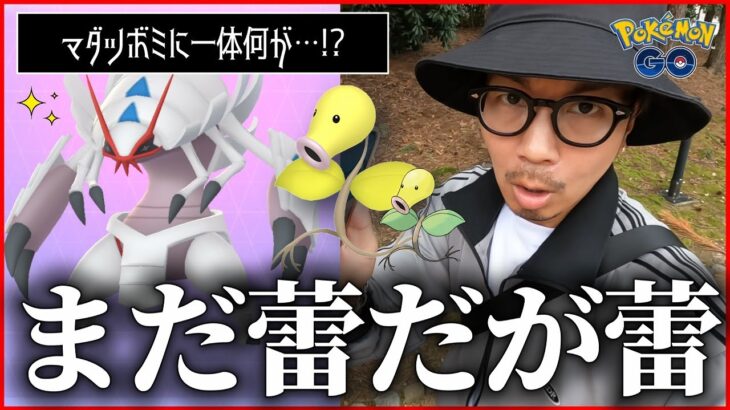 【ポケモンGO】マダツボミが・・・まさか・・・マダツボミが・・・？【色違いグソクムシャ】