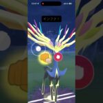 ディアルガ、パルキア、ゼルネアスの完全補完【マスターリーグ】【ポケモンGO】