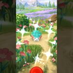 【ポケモンGO】色違いシェイミをゲット！ #Shorts #ポケモンGO