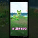 ポケモンGO実況 ニャオハを発見 ニャオハの捕獲に挑んでみた まさかのパルデア御三家ポケモンに出会えるとは嬉しすぎ 果たして結果は如何に！#ポケモンgo #ポケモン #shorts #short