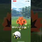 【ポケモンGO】ガラルサンダーゲットなるか！？#1  #ポケモンGO #ガラル三鳥 鳥