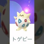 【毎日ポケGO】2kmタマゴ3連発！！#pokemongo #pokemon #pogotagoo #ポケモンgo #ポケモン #タマゴ #2km