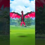 ポケモンGO　ガラルファイヤーGET!なるか！！