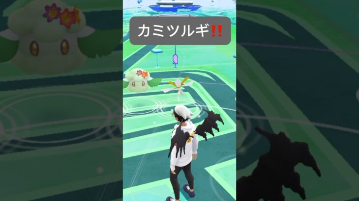 【ポケモンGO】カミツルギが現れた!!【✨Kartana Pokémon GO✨】