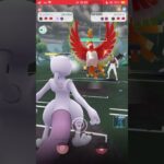 【ポケモンGO】きあいだまミュウツーVSきあいだまミュウツー？【GBL】#shorts #ポケモンgo #gbl #ポケモン #マスターリーグ