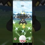 【ポケモンGO】色違いカプ・ブルルgetチャレンジ。