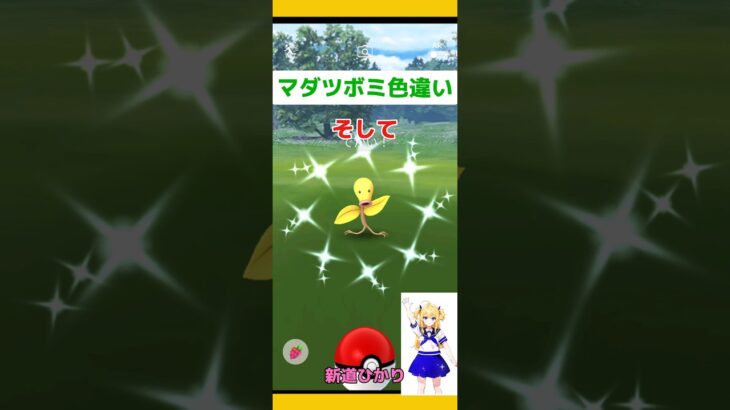 【ポケモンGO】野生マダツボミ色違いに遭遇！なんと・・・#ポケモンgo #野生色違い#マダツボミ#コミュデイ色違い