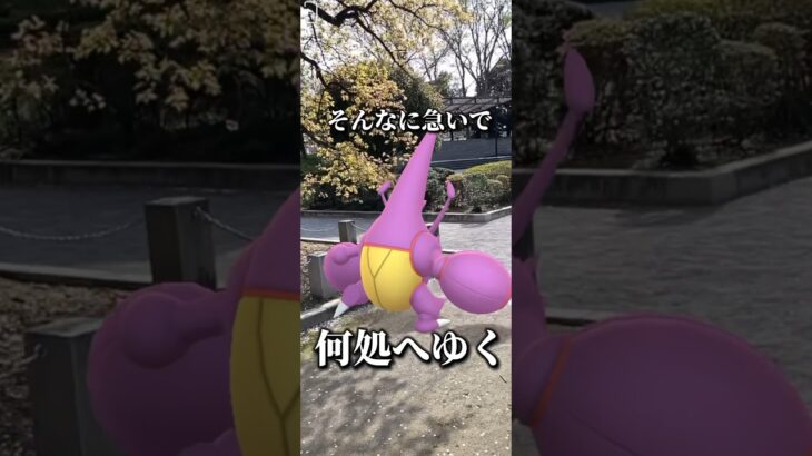 大きなカブトムシ捕まえました【ポケモンGO】【メガヘラクロス】　　　#ポケモンgo #ポケgo #pokemongo #ポケモン #pokemon #メガヘラクロス #shorts