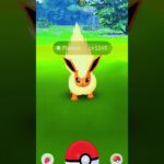 I Caught Flareon in Pokemon Go #Shorts #PokemonGo #Pokemon #Flareon