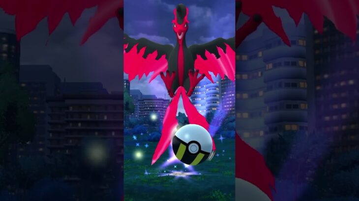 [PokemonGO] バイオーム実装記念？超久しぶりのガラルファイヤー　#ポケモンgo