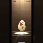 ポケモンgo 12キロたまごガチャ　こんなガッカリ12キロあってええんか？　#pokemongo