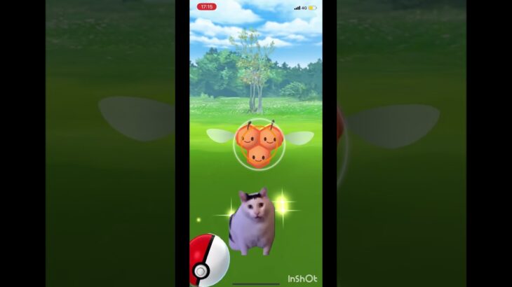 猫ミーム使ってみた。#ポケモンgo #ポケモンgo色違い
