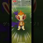 ポケモンgo 最大サイズのシャドウヒコザルゲットチャレンジ　#pokemongo #xxl