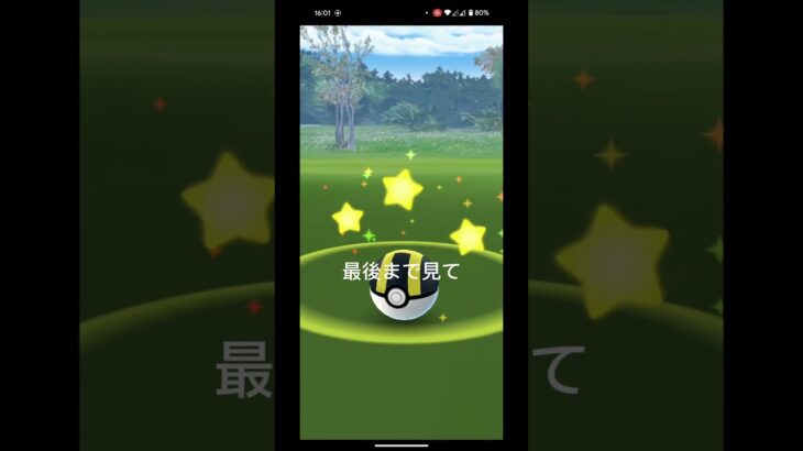 最強のマダツボミ #ポケモンgo #ポケモン #tiktok #shorts