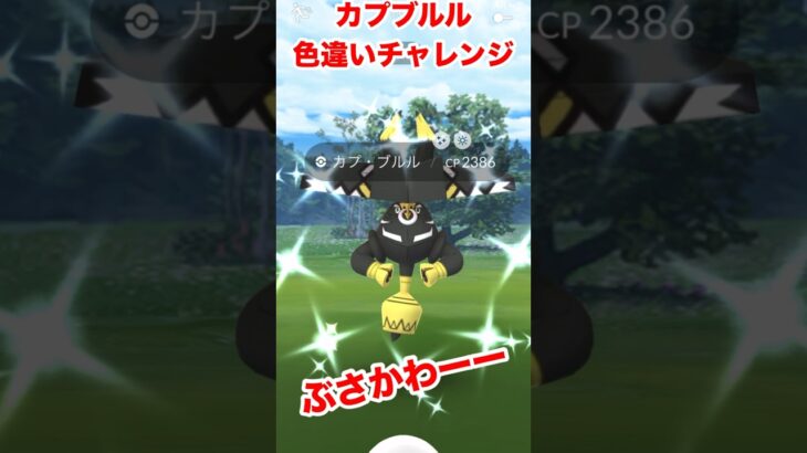 【ポケモンgo】色違いチャレンジ！遂に色違いカプブルルゲットだぜ！これでカプ系色違い3体目！　#ポケモン　#ポケモンgo #カプブルル　#色違い厳選　#shorts #パチストラッシュ