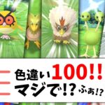 ヤバイ！！色違い100出た！！ある意味2匹出てる結果！？最高な「ひこうリサーチデイ」結果をどうぞ！【ポケモンGO】