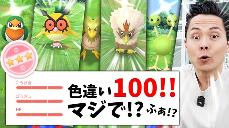 ヤバイ！！色違い100出た！！ある意味2匹出てる結果！？最高な「ひこうリサーチデイ」結果をどうぞ！【ポケモンGO】