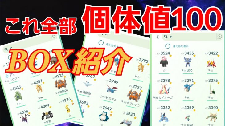 【驚愕】リリース初日からプレイしてるガチ勢の個体値100は全部で〇〇匹？！思い出とともに語ります！！【ポケモンGO】【BOX紹介】