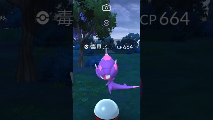 毒貝比抓到第2隻 ベベノム Poipole #ポケモンgo #pokemon #寶可夢