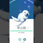 原來穿山鼠有2條尾巴 サンド Sandshrew #ポケモンgo #pokemon #寶可夢 #gofest2024