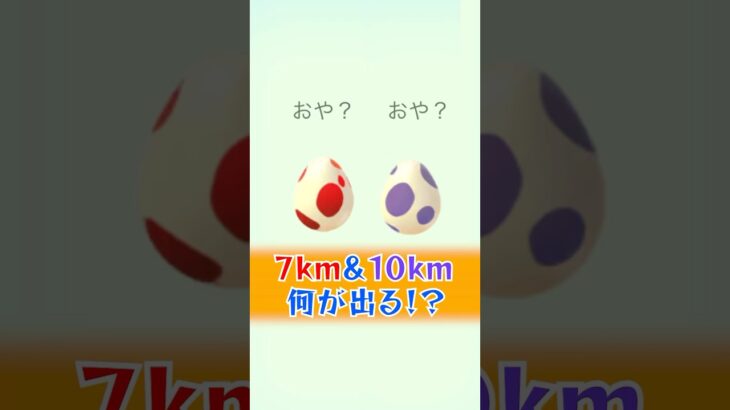 【7km&10kmたまご】何が出るかな〜♬ #ポケモンgo #ポケモン #pokemon