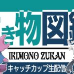 【キャッチカップ】出遅れたけど環境調査！！結局何が流行ってるの！？【GBL】