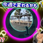 GETできなくなる前に急げ！？今週のポケ活まとめ【ポケモンGO】