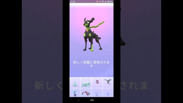 ポケモンGO  プレイヤーの皆を落とし入れる時間と運を使う伝説のポケモン「ジガルデ 10%フォルム」を捕獲する！