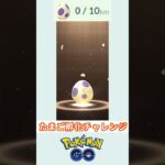 ポケモンGO  たまご孵化チャレンジ　10kmたまご　パート13 ＃ポケモン　＃ポケットモンスター　＃Pokémon ＃ポケモンGO