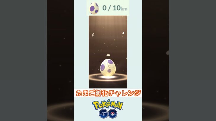 ポケモンGO  たまご孵化チャレンジ　10kmたまご　パート13 ＃ポケモン　＃ポケットモンスター　＃Pokémon ＃ポケモンGO