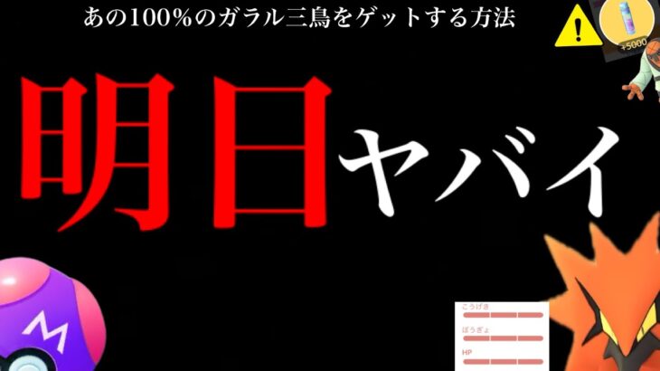 【限定チャンス】驚き！今なら１００％も狙える方法も！？明日から〇〇で超限定と砂ボーナスの大チャンス到来・・！【ポケモンGO・マスターボール・ガラル三鳥・地域限定ポケモン】