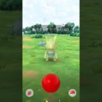 カクレオンの色違い登場！　ポケモンGO　色違い