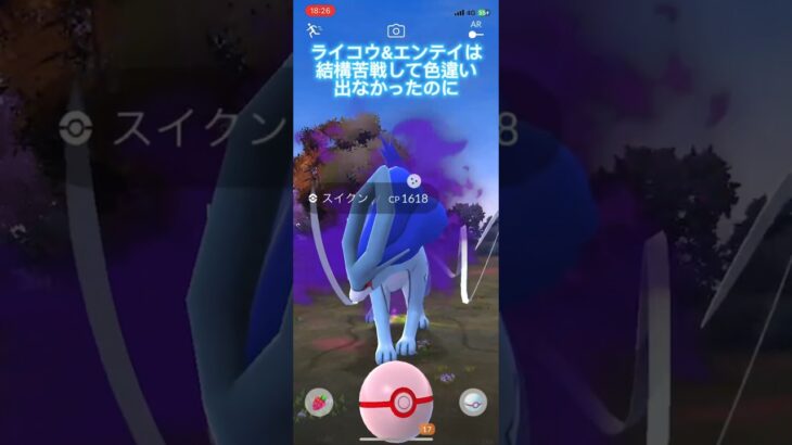 ポケモンGO まさかの一撃でシャドウスイクン色違い初登場✨初日の1発目ですよ⁉️#shorts #スイクン #シャドウレイド