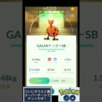 ガラルサンダー スーパーボールでゲットだぜ！ ポケモンGO