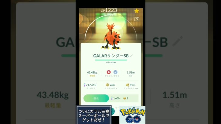 ガラルサンダー スーパーボールでゲットだぜ！ ポケモンGO