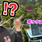 ボックス整理の極意！今月のコミュデイはコイツか！？【ポケモンGO】