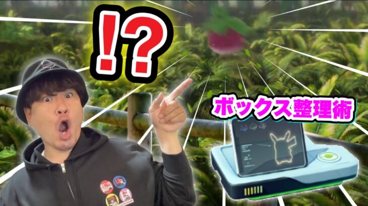 ボックス整理の極意！今月のコミュデイはコイツか！？【ポケモンGO】