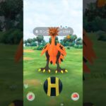 ガラルサンダー出現！　結果は…　ポケモンGO　 #pokemon