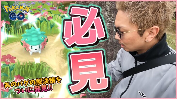 【ポケモンGO】誰も知らない新仕様！？色違いシェイミちゃんの個体値ガチャで神になれ！知ってる人だけが得をする隠しコマンドを大公開スペシャル！【ライバルイベント2024】