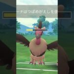 【ポケモンGOバトル#245】これで連勝記録伸ばしました✨さあ今すぐ上の🐸マークをタップして👍&チャンネル登録しよう！！ココチAチャンネルオリジナルポケモンGOバトル動画がいつでもどこでも見放題だ