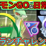 【ポケモンGOな日常】4度目の！ベテランチャレンジ！！SLリミックス編【ポケモンGO】