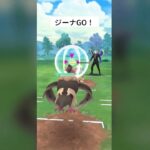 速成カップリトル‼️【速成カップリトル】＃ポケモンGO#GBL