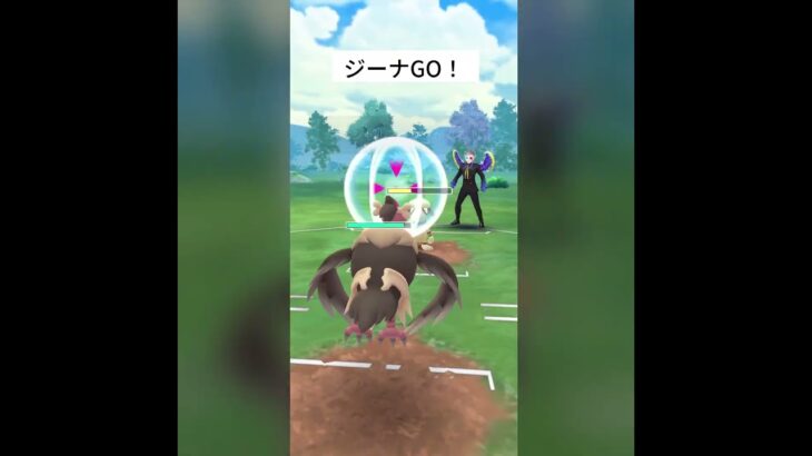 速成カップリトル‼️【速成カップリトル】＃ポケモンGO#GBL