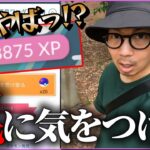 【ポケモンGO】なんだ・・・俺が騙されただけか・・・。マスターボールチャレンジ第２章へ突入！このままの勢いでサクりんちょってGETしちゃうわよ！？【道具ワンダー】