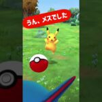 ポケモンGOに起こるバグ…ピカチュウ去勢されたんか？【ポケモンGO】 #ポケモンgo #pokemon #ポケモン #ポケgo