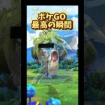 【ポケモンGO】最高の瞬間！相棒、ありがとう【全力ポフィン】#pokemongo #shorts #happy