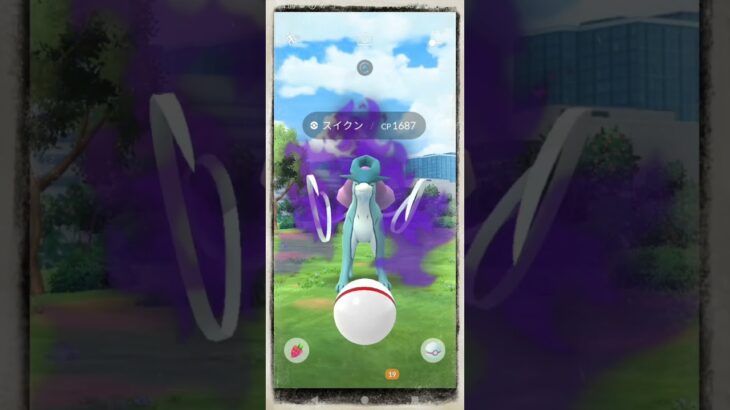 シャドウスイクンの◯◯をゲット！　#ポケモンGO　#スイクン　#shorts