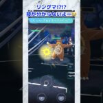 【ポケモンGO】ミラーっww対面ってwwめっwちゃw難しいwwねwwおほほっwwうへうほえへへっwwwんあんあwwwおへおほっww