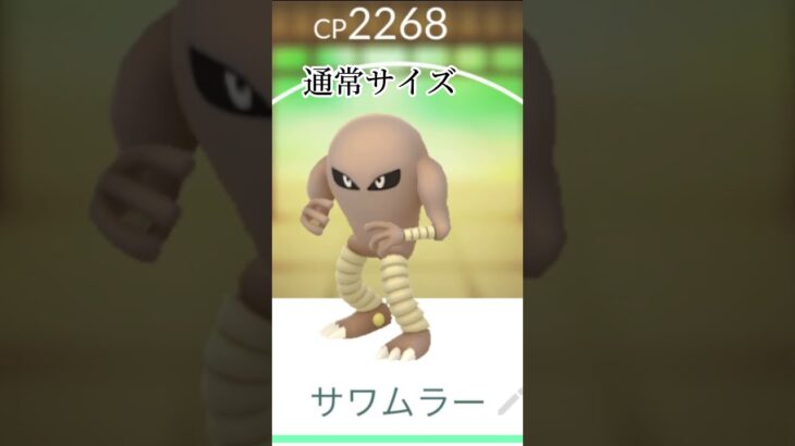 大きさがはっきりと分かるから凄いよね #ポケモンgo #ばずれ