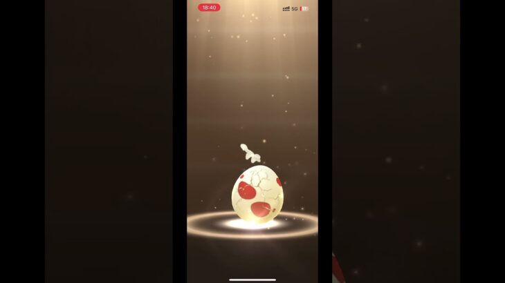 たまごガチャ！結果はどう？ #ポケモンgo